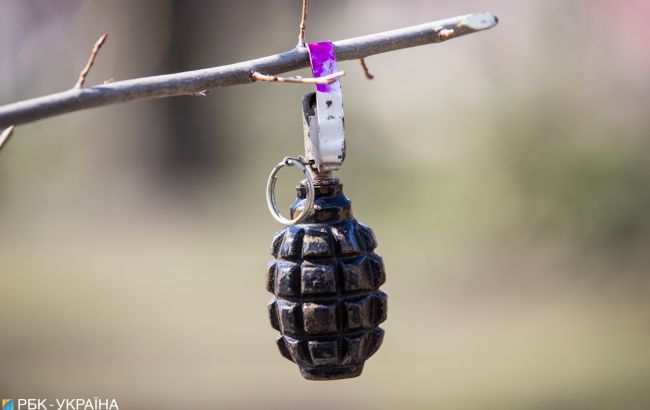 В Луганской области полицейские обнаружили "взрывной" тайник террориста