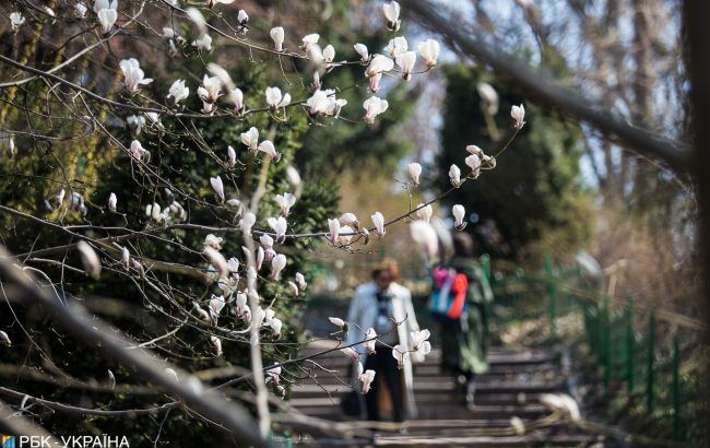 Завтра в Украине ожидается до +20