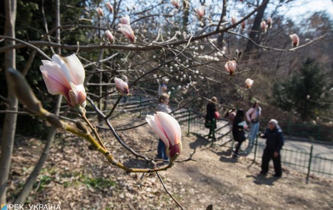 Скоро потеплеет: синоптики рассказали, где пройдут дожди и будет холодно