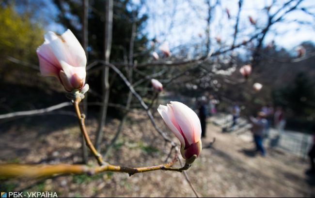 Ливни в большинстве областей: прогноз на 8 марта