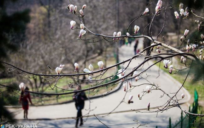 В Украине сегодня ожидается потепление