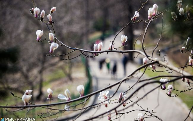 Синоптик порадовала украинцев прогнозом погоды