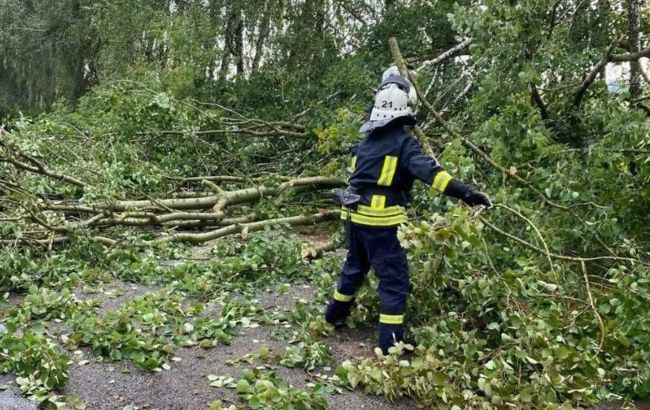 Мощная непогода накрыла часть Украины: сотни населенных пунктов остались без света