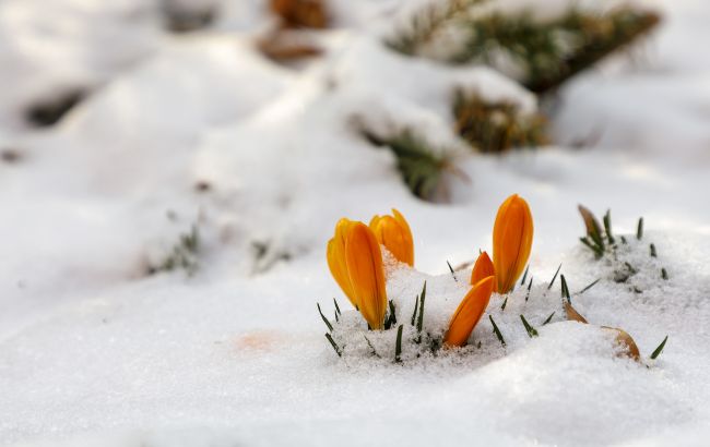 Опади, пориви вітру, але "хороші плюси". Синоптики дали прогноз на завтра в Україні