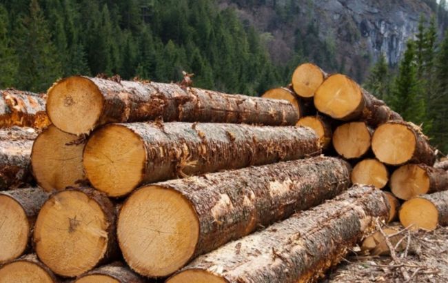 Украина запретила экспорт необработанной древесины