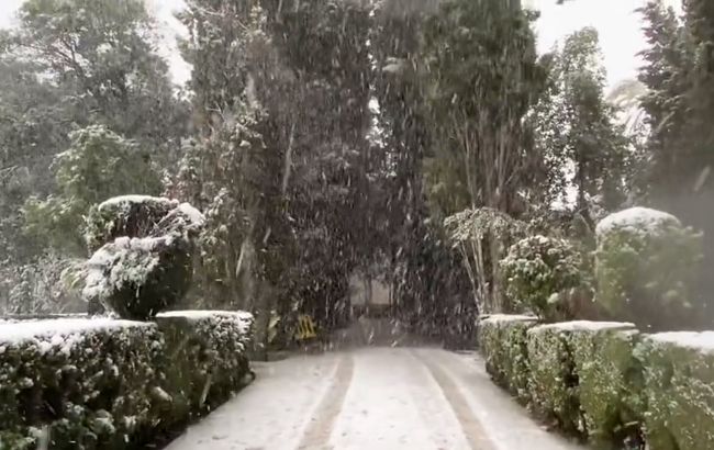 В Іспанії курортну Майорку накрив потужний снігопад