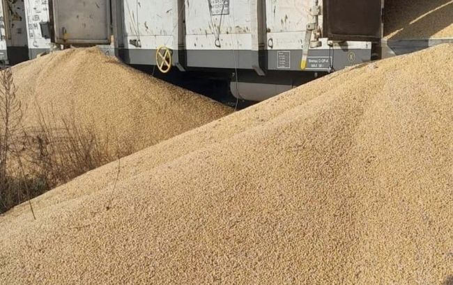 Кубраков про новий інцидент із зерном у Польщі: є схожість з російською гібридною війною