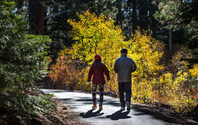 Без опадів, але з туманами. Синоптики дали прогноз на завтра в Україні