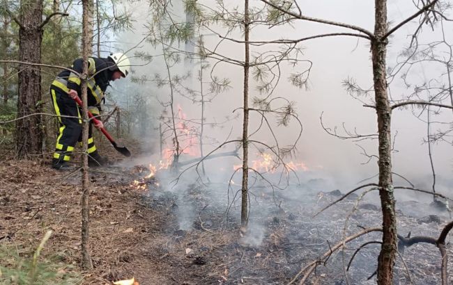 Під Києвом локалізували масштабну пожежу: рятувальники розкрили деталі