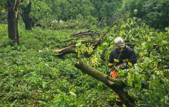 Зливи, шквали та знеструмлені десятки ліній: на Київщині тисячі людей залишились без світла