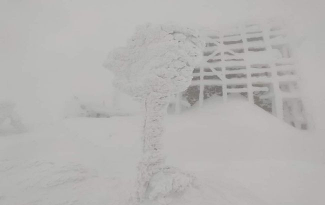 Украинцев предупредили о возможном сходе лавин в двух областях