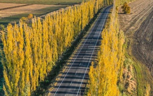 В Николаевской области полностью отремонтировали трассу в Очаков