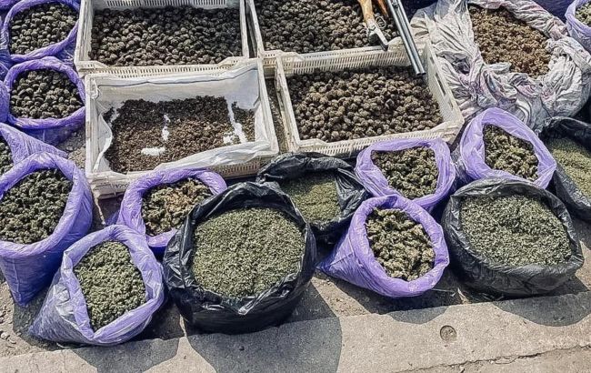 Операція у 19 регіонах. В Україні нейтралізували логістичні хаби наркоторговців