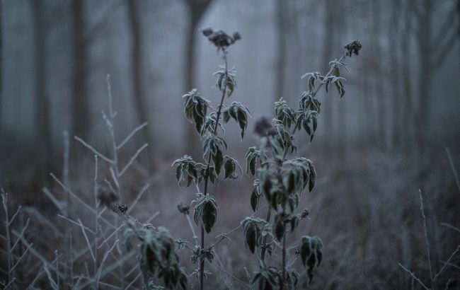 Антициклон Clemens не піде. Синоптики дали прогноз на перший день зими в Україні