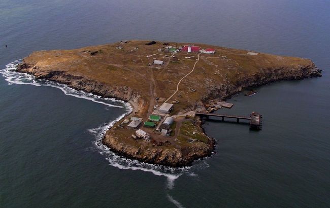 Российские истребители пытались бомбардировать остров Змеиный