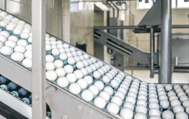 Птицефабрика &laquo;Авис&raquo; вошла в ТОП-50 самых инновационных компаний в агросекторе Украины