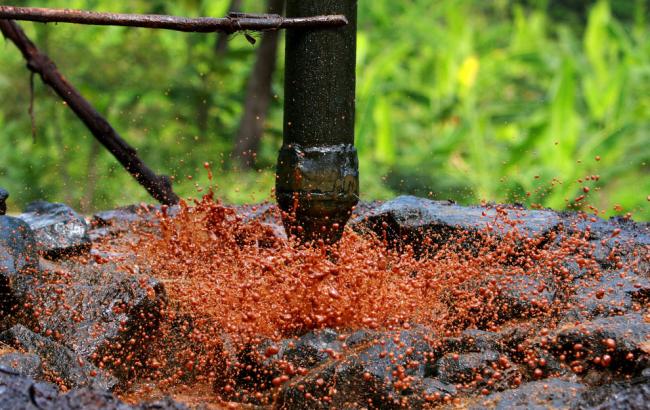 Индонезия ищет инвесторов для увеличения нефтедобычи