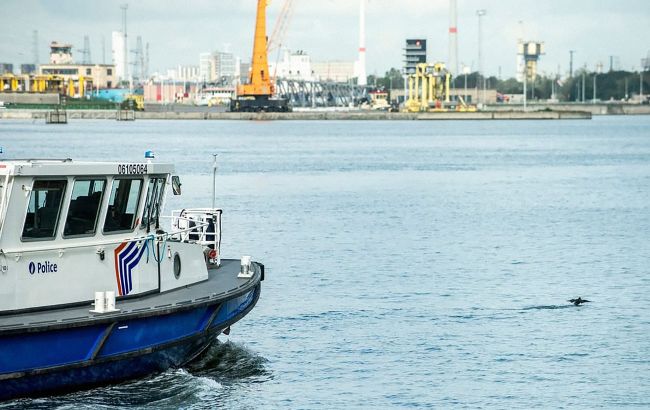 В Бельгии перехватили партию кокаина стоимостью почти 1 млрд евро