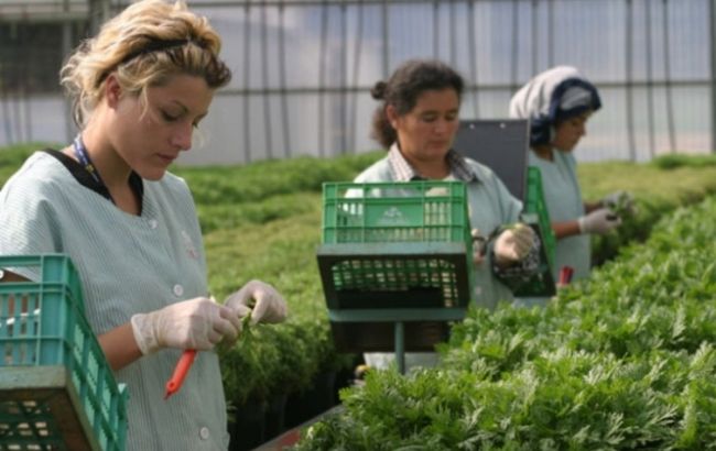 Британия позволит мигрантам из ЕС остаться в стране несмотря на Brexit