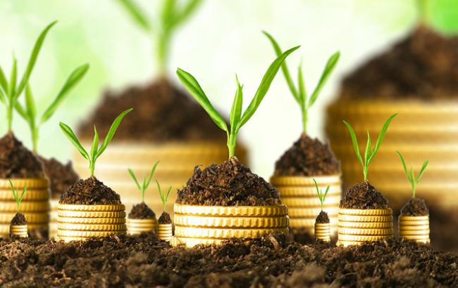 Иностранные инвестиции в Украину за 3 месяца выросли на 17,7%