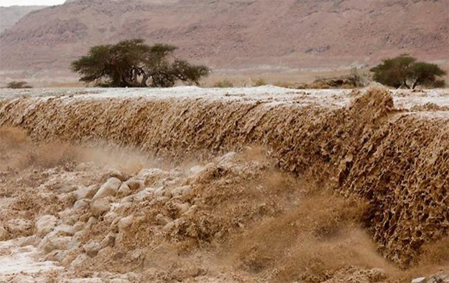 Внаслідок повені в Ізраїлі 7 дітей перебувають у критичному стані