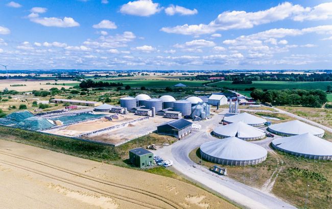 Сало вместо нефти: найден новый источник автомобильного топлива