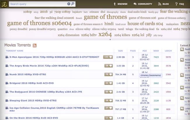 Найбільший торрент-трекер відновився за дві доби після арешту її творця