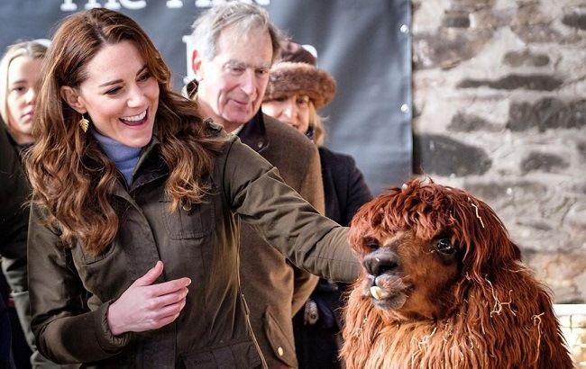 Герцогиня Дулиттл: Кейт Миддлтон умилила дружбой с ламой и козленком