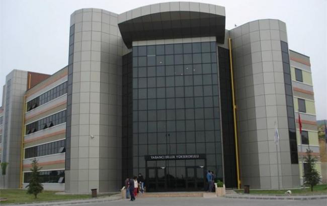 В Турции задержаны 18 ученых за манифест в поддержку курдов