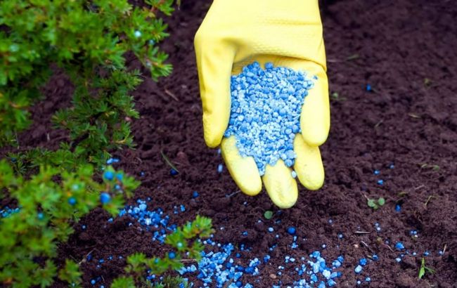 Химпредприятия возобновляют работу после санкций на товары из РФ, - анализ