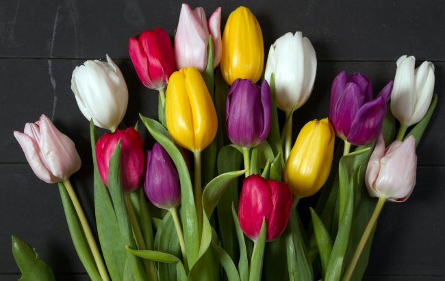 Яке сьогодні свято: календар на 1 березня в Україні та світі, пам'ятні дати