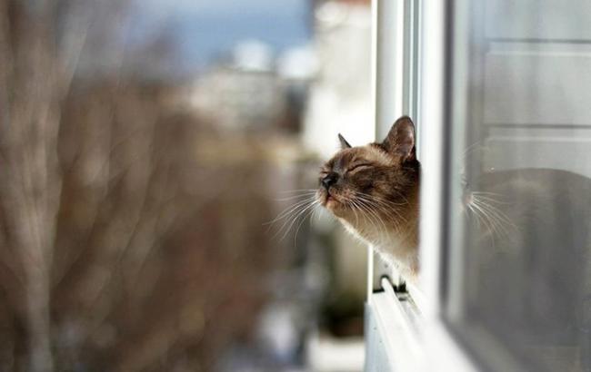 Погода на сьогодні: в Україні без опадів, температура до +19