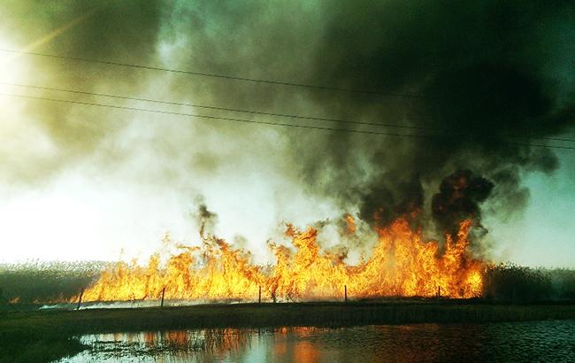 В Киевской области во время движения произошел пожар в грузовых вагонах