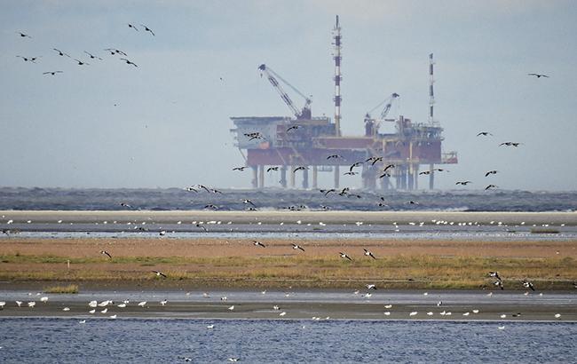 Цена нефти Brent торгуется ниже 49 долларов за баррель