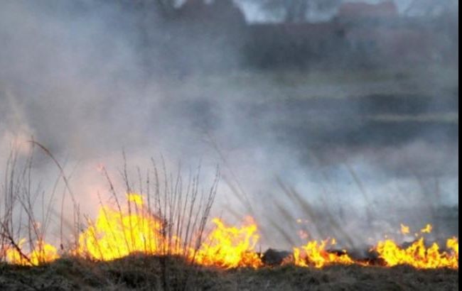 Угрозы распространения пожара к Чернобыльской АЭС нет, - ГСЧС
