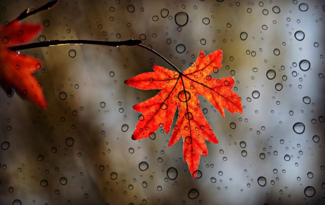 Свято 16 жовтня: що не можна робити, щоб не накликати біду