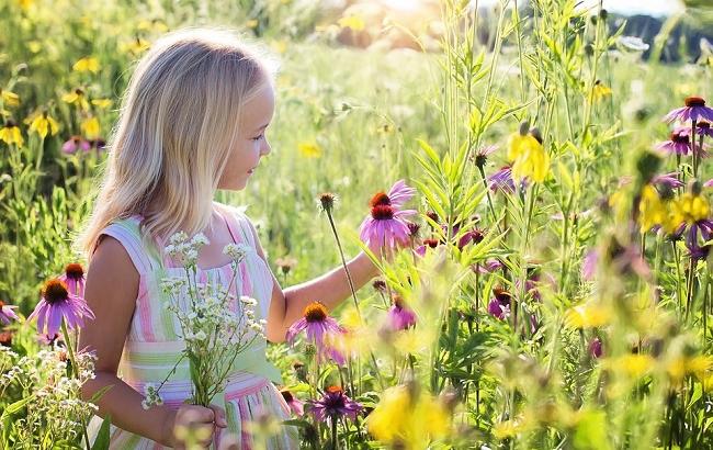 Троица 2018: приметы и традиции праздника