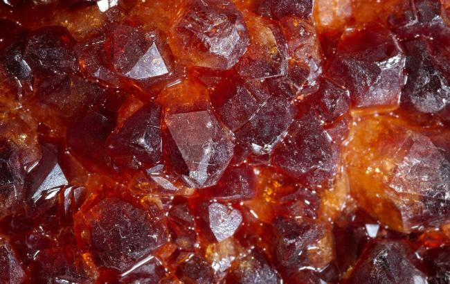 Волынское село создает предприятие для легальной добычи янтаря