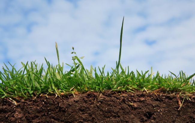 Активіст звинуватив інтернет-провайдера "Бест" в причетності до розкрадання землі в Бучі