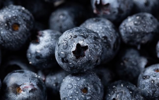 Названы 3 категории людей, кому нельзя есть голубику