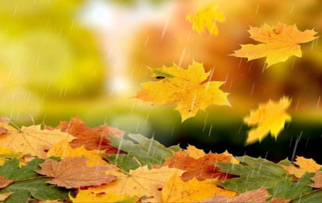 Погода на сьогодні: в Україні дощі, температура до +19