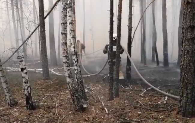 Пожар в Чернобыльской зоне потушили