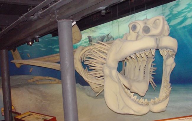 Від динотеріїв до мегалодонів: які гігантські тварини мешкали колись на території України