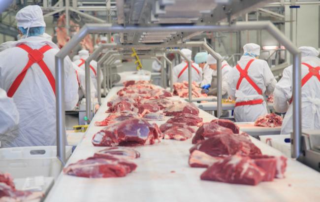 Виробництво м'яса в Україні за 3 місяці 2017 залишилося на рівні минулого року