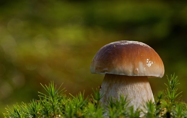 Праздник 7 сентября: что нельзя делать, все важные традиции сегодня