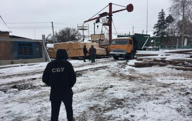 СБУ разоблачила схему хищение лесных ресурсов на более чем 5 млн гривен