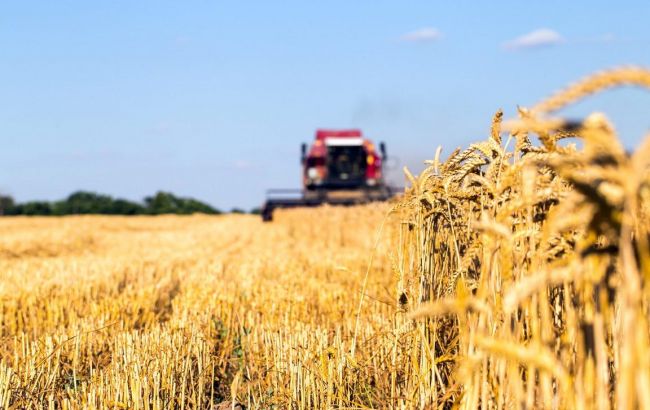 В СМИ опубликованы 7 "схем" использования госземель агрокомпаниями