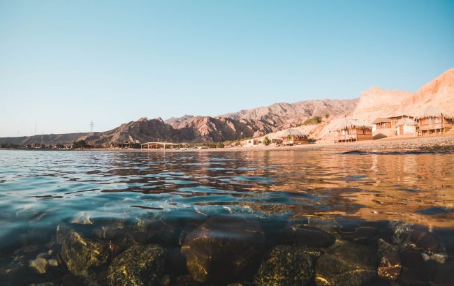 Єгипет закриває пляжі Червоного моря після нападу акул на туристів