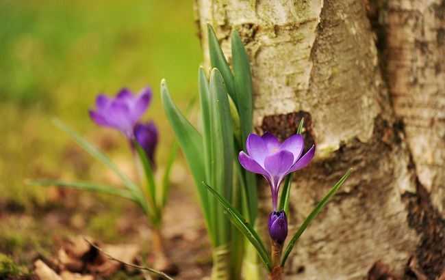 Праздник 26 марта: что сегодня нельзя делать, важные традиции, у кого день ангела