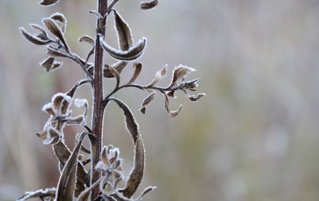 В Украину движется лютый холод с "минусами": как долго будет непогодить